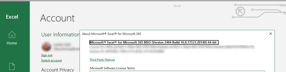 Microsoft Excel Version