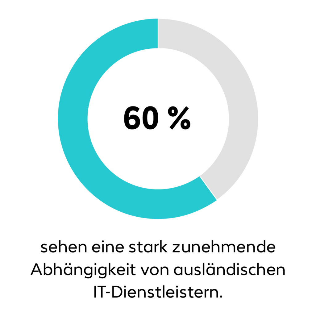 Ringdiagramm 60%