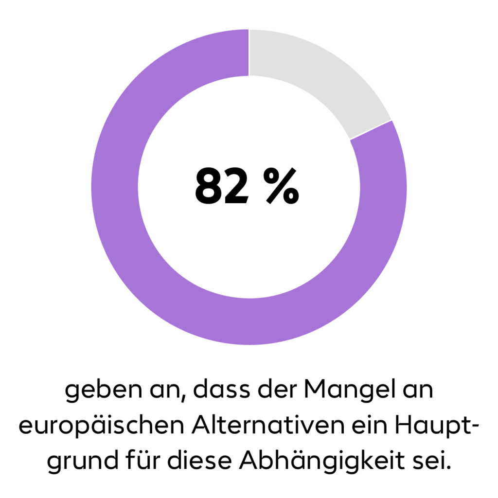 Ringdiagramm 82%