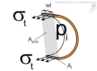 Spannung Wursthaut tangential